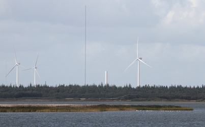Skestorke, Østerild Fjord og vindmølletestcentret
