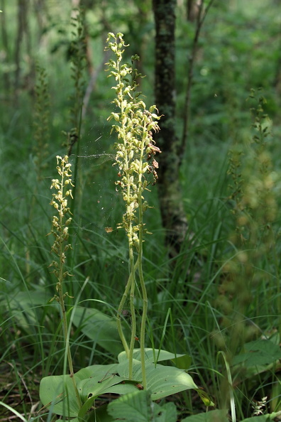 JPK #3_011979.web.jpg