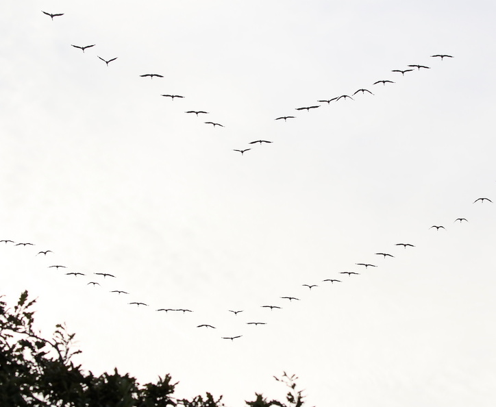 JPK #3_050445.web.jpg