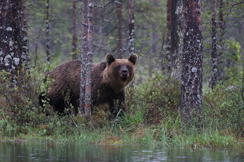 JPK #3_006123.web.jpg